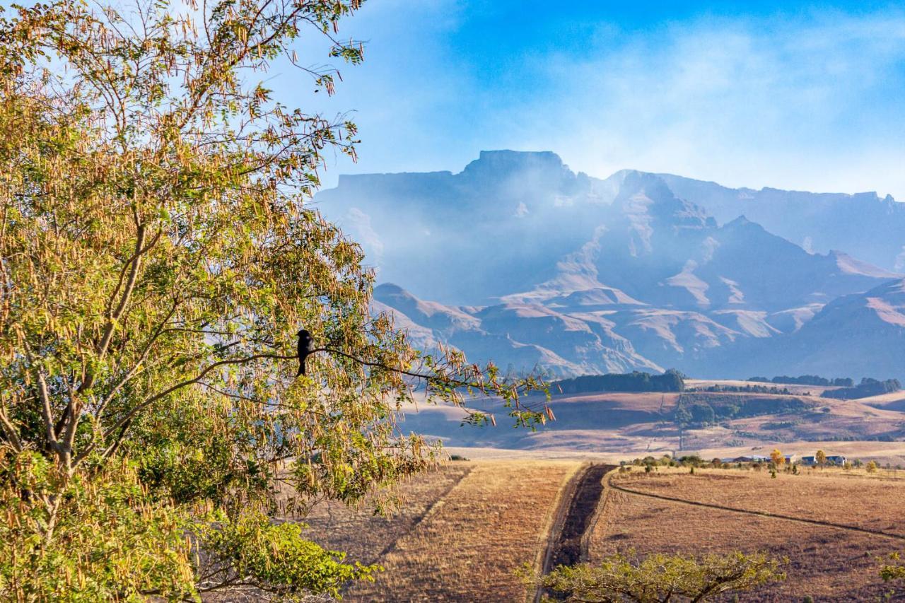 Inkungu Lodge Champagne Valley Ngoại thất bức ảnh