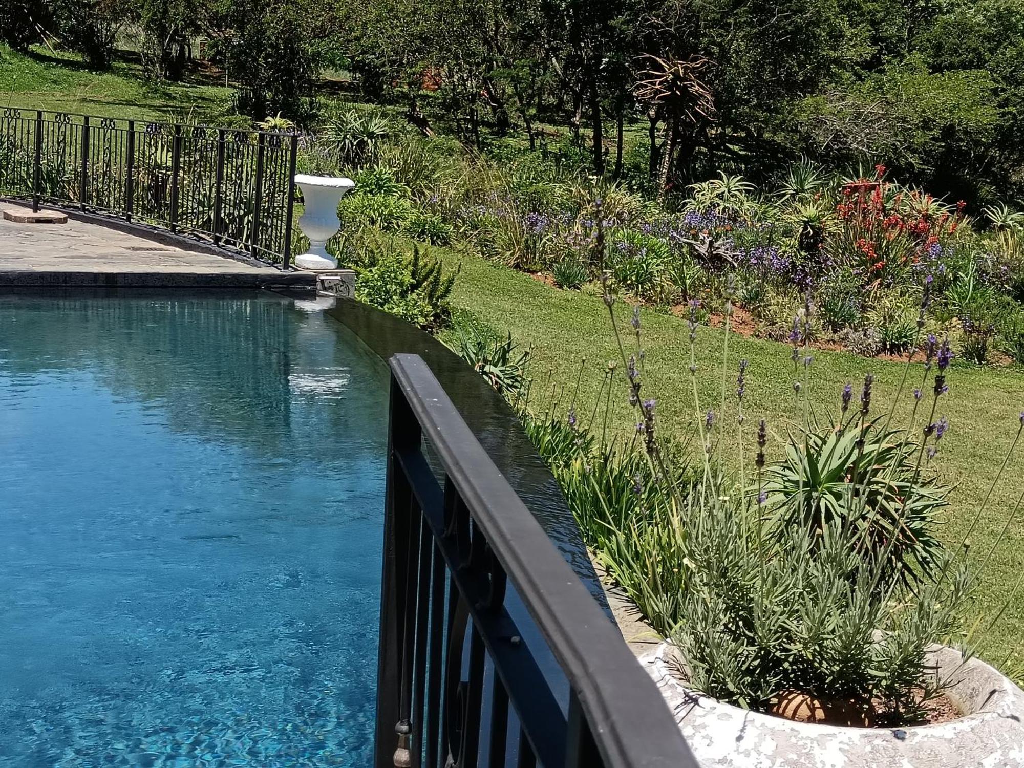 Inkungu Lodge Champagne Valley Ngoại thất bức ảnh